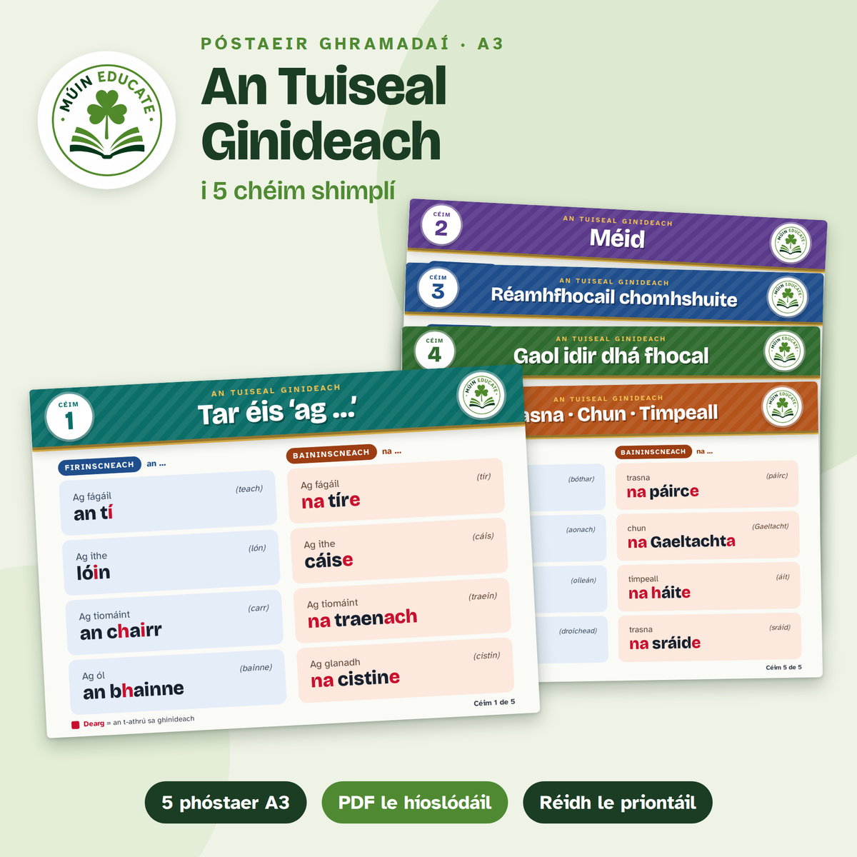 An Tuiseal Ginideach i 5 Chéim — Irish Grammar Posters (Free Resource)