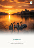 Clann Lir le Séamus Ó Searcaigh – Senior Cycle Irish Prós / Prose Study Guide Summary Notes