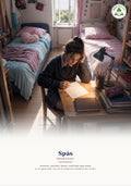 Spás le Mícheál Ó Ruairc – Junior Cycle Study Guide Summary
