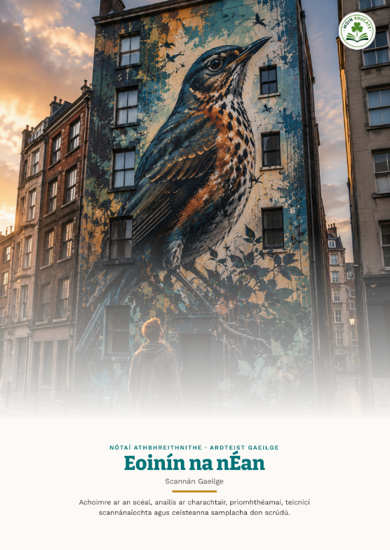 Eoinín na nÉan – Senior Cycle Irish Prós / Prose Study Guide Summary Notes