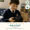 Jeaic ar Scoil by Dairena Ní Chinnéide – Junior Cycle Irish poetry study guide with full analysis